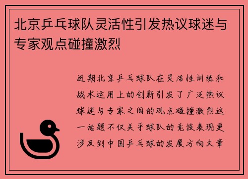 北京乒乓球队灵活性引发热议球迷与专家观点碰撞激烈